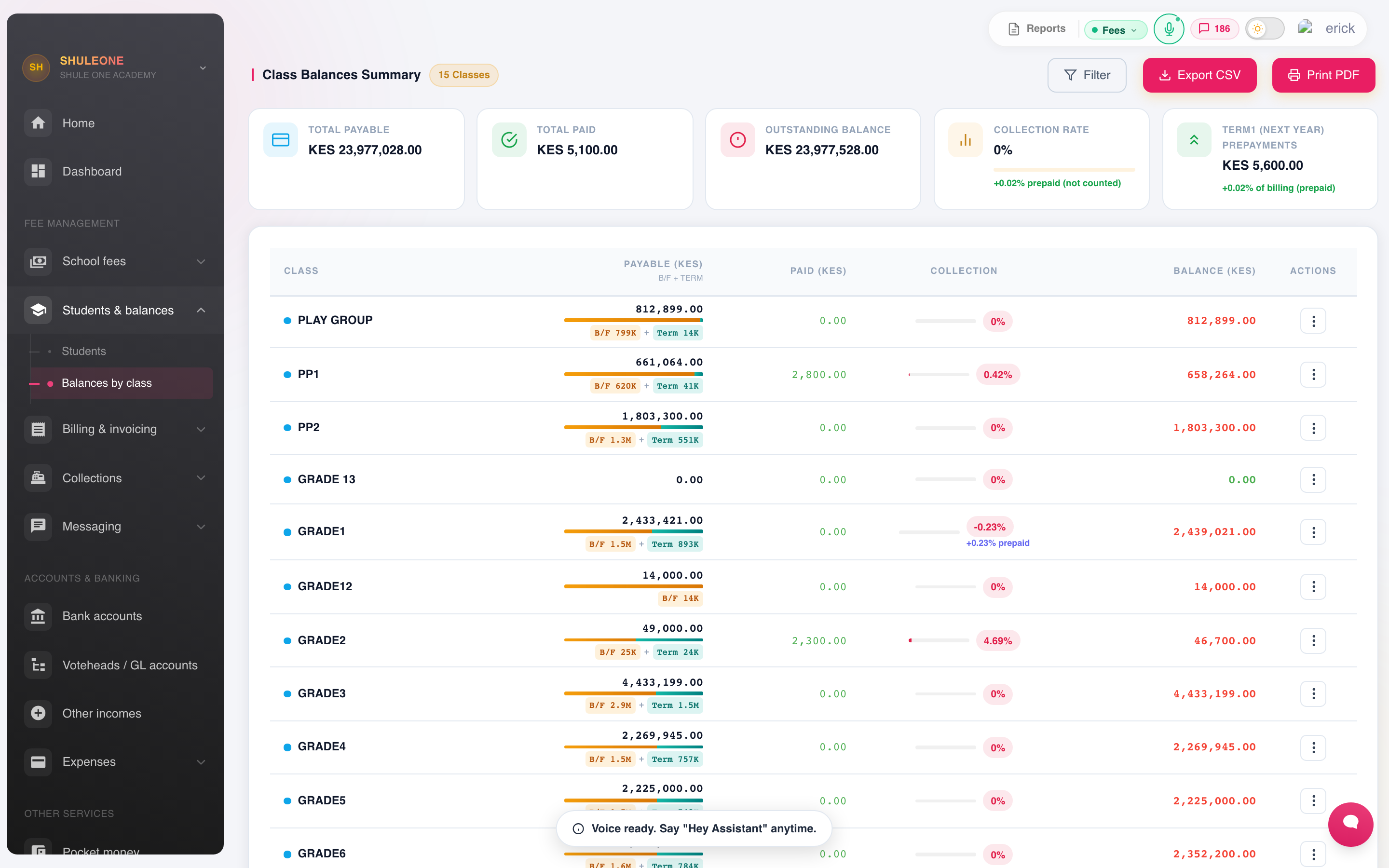 Class-level fee balance summaries